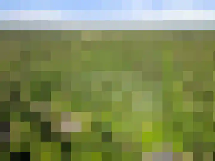 Prins Clauslaan 8 Bennekom thumbnail 11