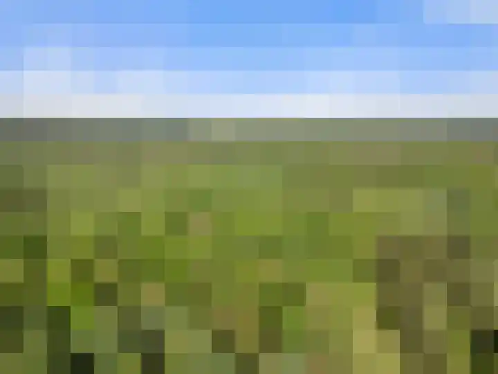 Prins Clauslaan 8 Bennekom thumbnail 12