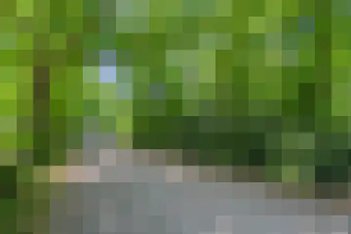 Prins Clauslaan 8 Bennekom thumbnail 13