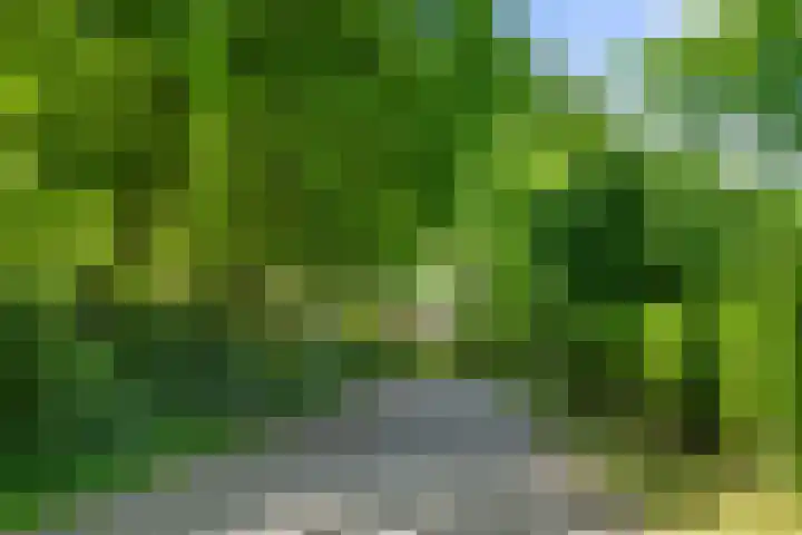 Prins Clauslaan 8 Bennekom thumbnail 14