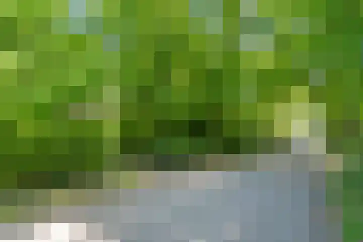 Prins Clauslaan 8 Bennekom thumbnail 15