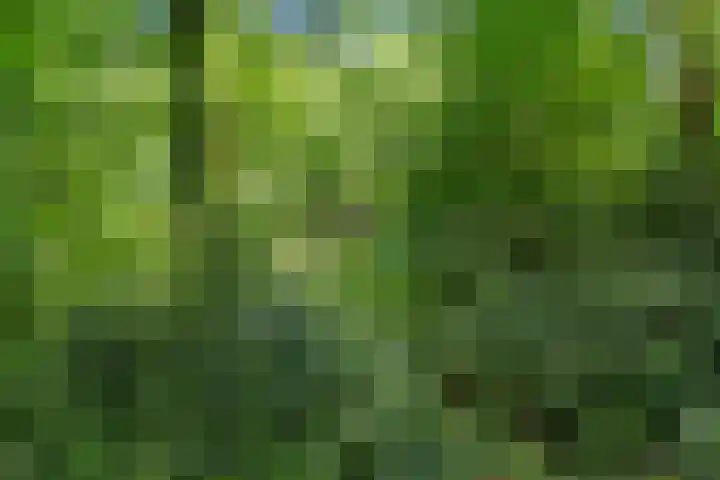 Prins Clauslaan 8 Bennekom thumbnail 16
