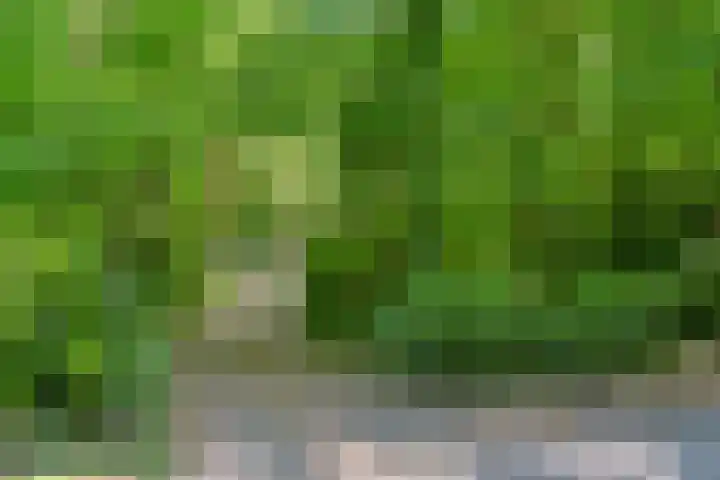 Prins Clauslaan 8 Bennekom thumbnail 17