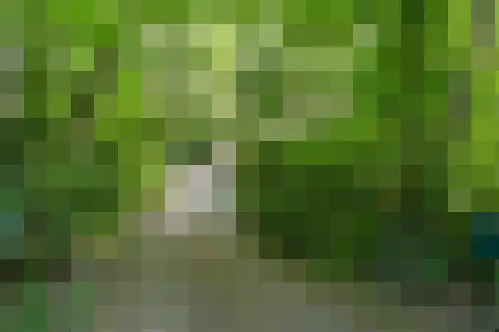 Prins Clauslaan 8 Bennekom thumbnail 18