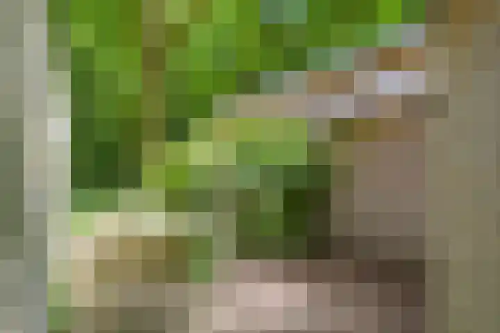 Prins Clauslaan 8 Bennekom thumbnail 19