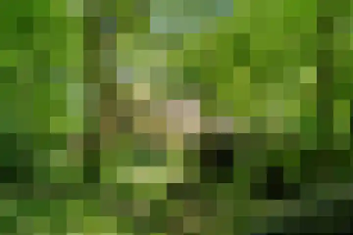 Prins Clauslaan 8 Bennekom thumbnail 20