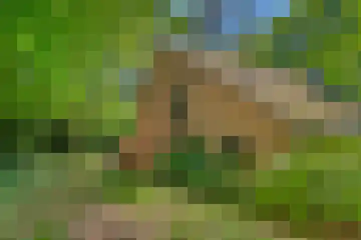 Prins Clauslaan 8 Bennekom thumbnail 21