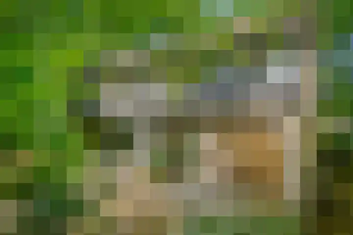 Prins Clauslaan 8 Bennekom thumbnail 23