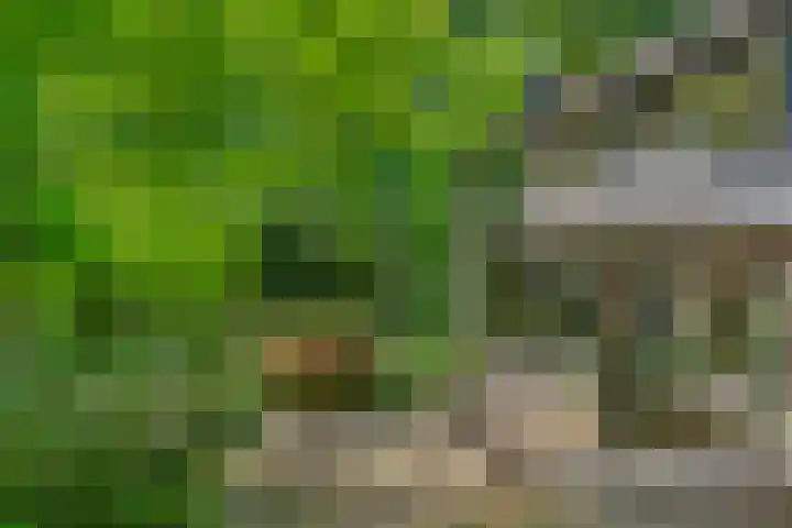 Prins Clauslaan 8 Bennekom thumbnail 24