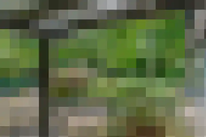 Prins Clauslaan 8 Bennekom thumbnail 25