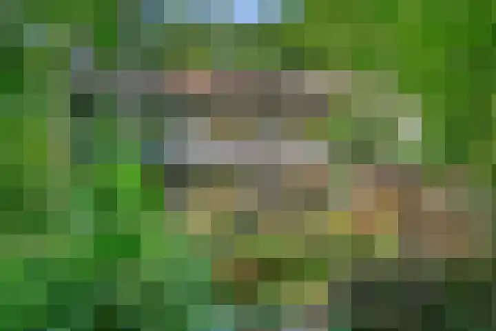 Prins Clauslaan 8 Bennekom thumbnail 28