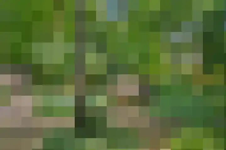 Prins Clauslaan 8 Bennekom thumbnail 29