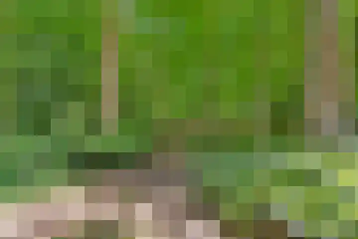 Prins Clauslaan 8 Bennekom thumbnail 30