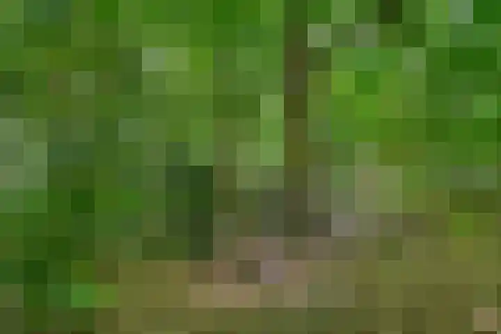 Prins Clauslaan 8 Bennekom thumbnail 31