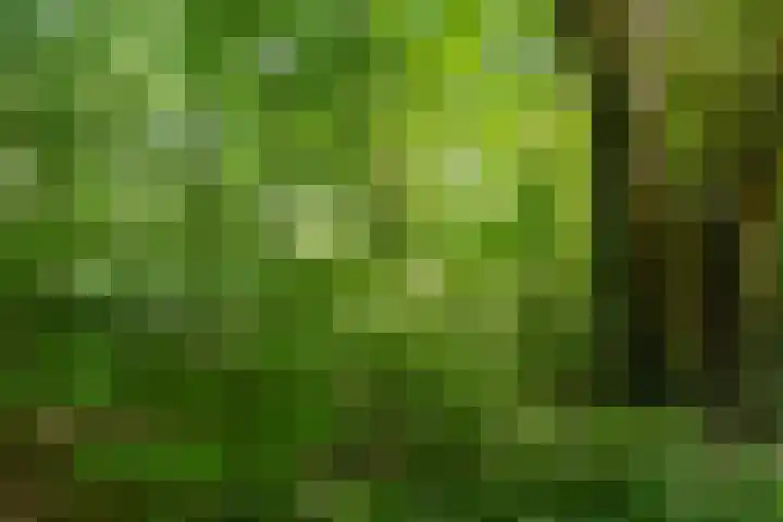 Prins Clauslaan 8 Bennekom thumbnail 32