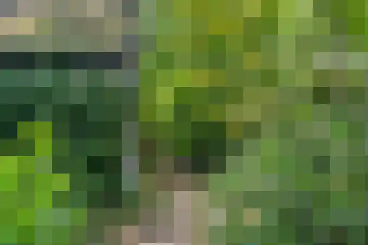 Prins Clauslaan 8 Bennekom thumbnail 33