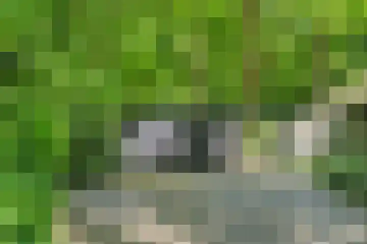 Prins Clauslaan 8 Bennekom thumbnail 34