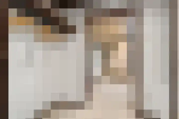 Prins Clauslaan 8 Bennekom thumbnail 39