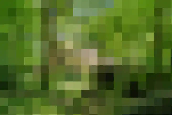 Prins Clauslaan 8 Bennekom thumbnail 4