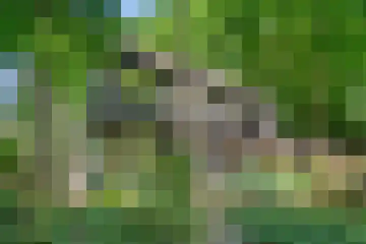 Prins Clauslaan 8 Bennekom thumbnail 5
