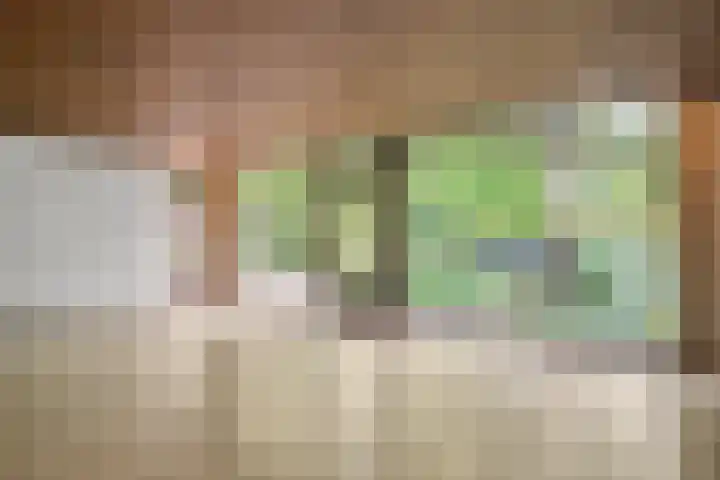 Prins Clauslaan 8 Bennekom thumbnail 52