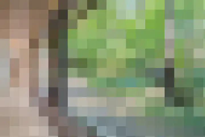 Prins Clauslaan 8 Bennekom thumbnail 53