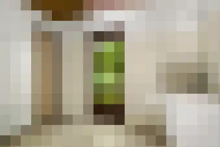 Prins Clauslaan 8 Bennekom thumbnail 56