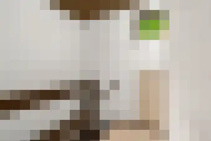 Prins Clauslaan 8 Bennekom thumbnail 57