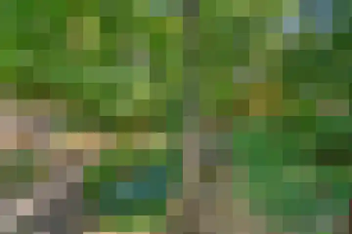 Prins Clauslaan 8 Bennekom thumbnail 69