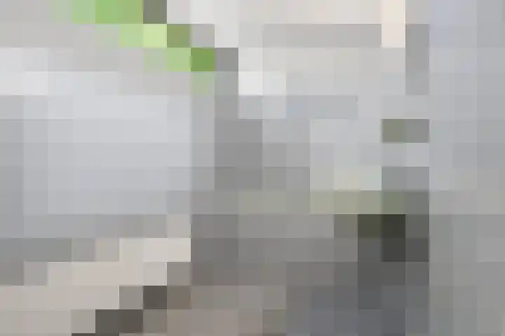Prins Clauslaan 8 Bennekom thumbnail 72