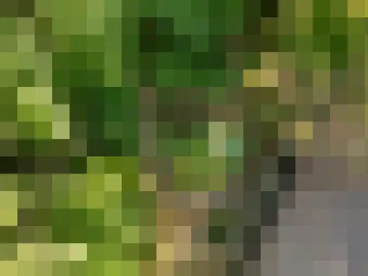 Prins Clauslaan 8 Bennekom thumbnail 8