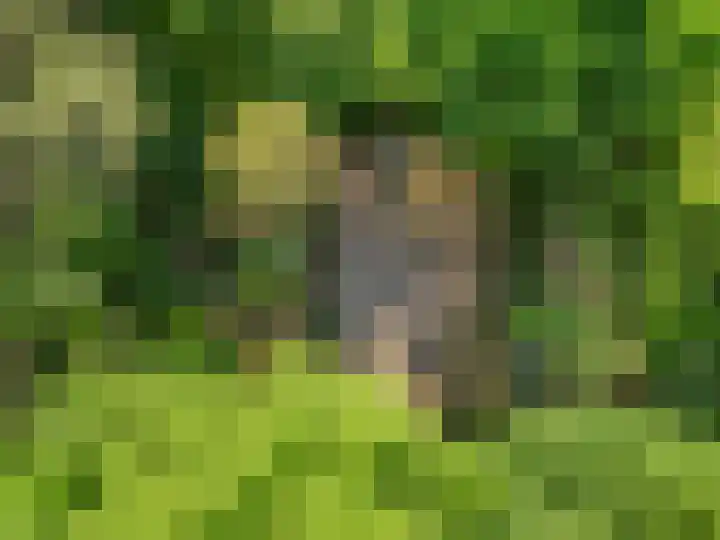 Prins Clauslaan 8 Bennekom thumbnail 9