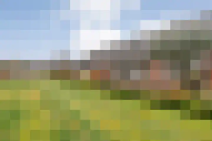 Prins Clauslaan 82 de Wijk thumbnail 10