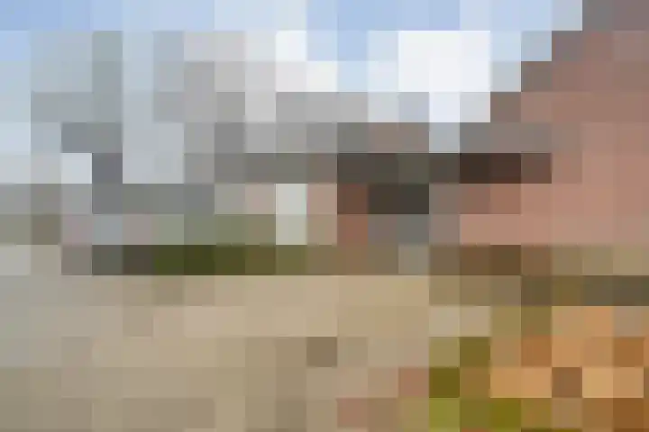 Prins Clauslaan 82 de Wijk thumbnail 11