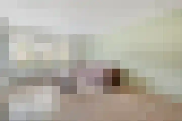 Prins Clauslaan 82 de Wijk thumbnail 16