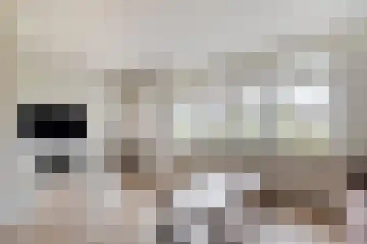 Prins Clauslaan 82 de Wijk thumbnail 17