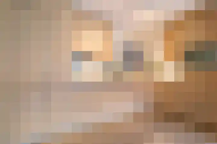 Prins Clauslaan 82 de Wijk thumbnail 21