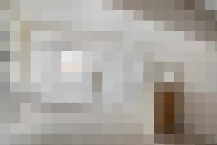 Prins Clauslaan 82 de Wijk thumbnail 34