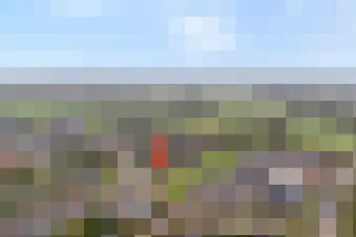 Prins Clauslaan 82 de Wijk thumbnail 4