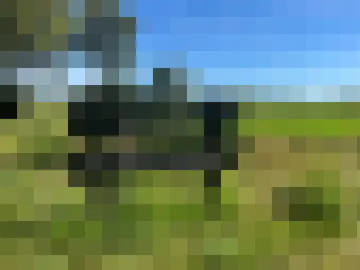 Prins Clauslaan 82 de Wijk thumbnail 40