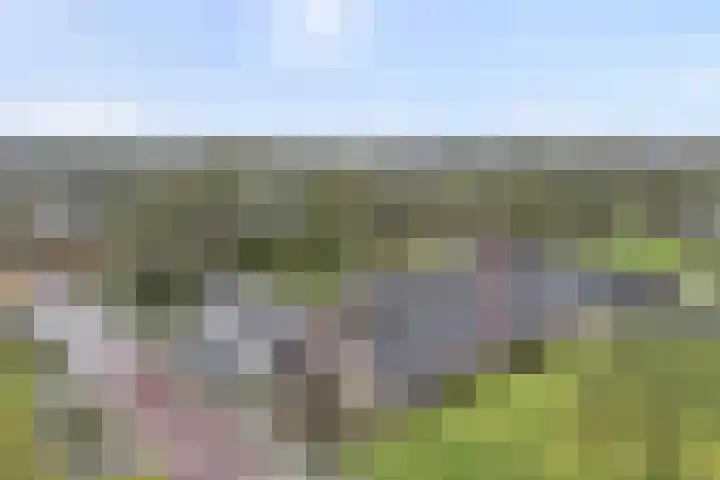 Prins Clauslaan 82 de Wijk thumbnail 5