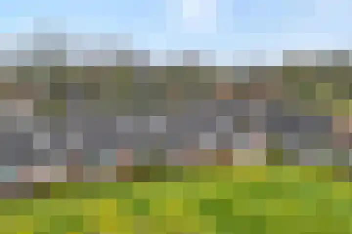 Prins Clauslaan 82 de Wijk thumbnail 6