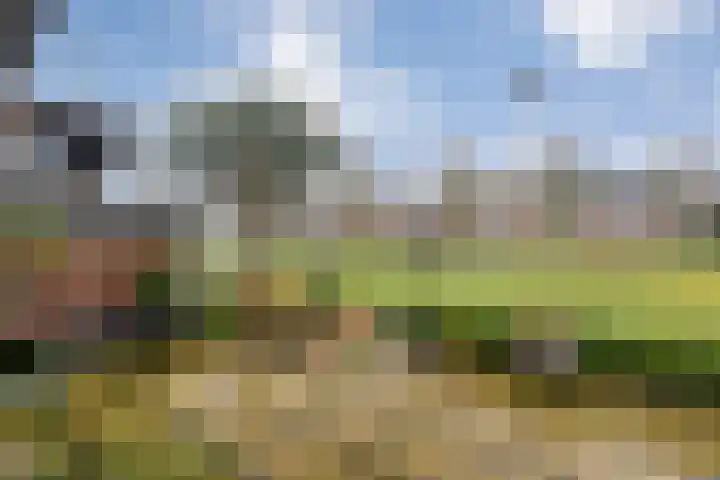 Prins Clauslaan 82 de Wijk thumbnail 8