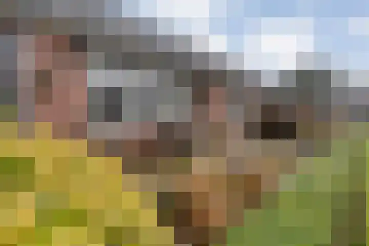 Prins Clauslaan 82 de Wijk thumbnail 9