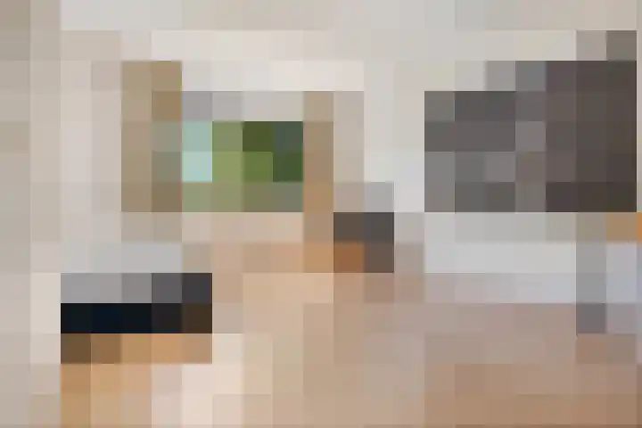 Prins Clausplantsoen 41 Assen thumbnail 31