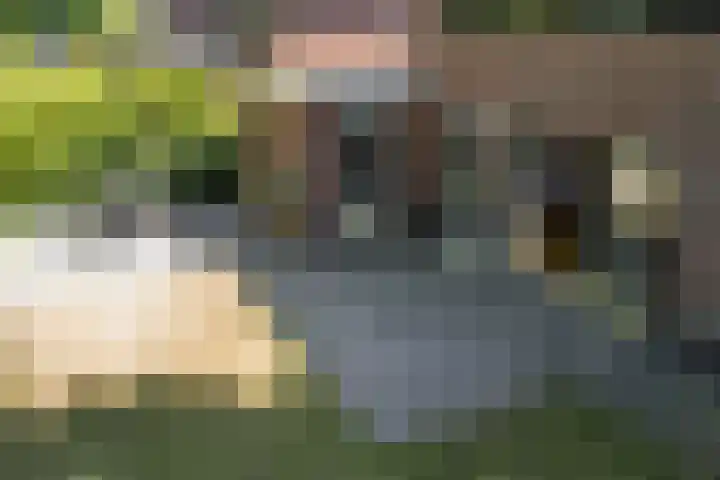 Prins Clausplantsoen 41 Assen thumbnail 37