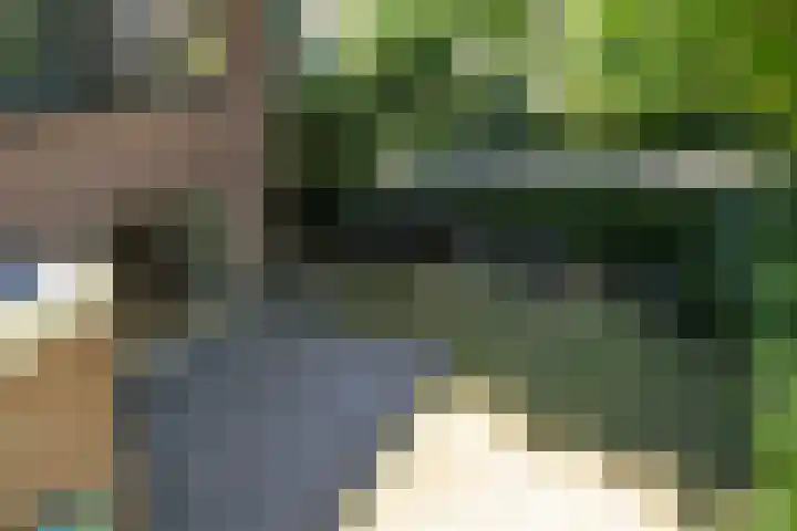 Prins Clausplantsoen 41 Assen thumbnail 38