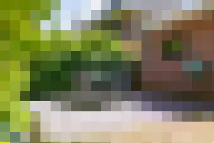 Prins Clausplantsoen 41 Assen thumbnail 39