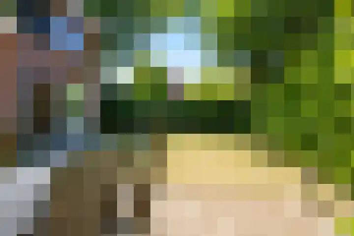Prins Clausplantsoen 41 Assen thumbnail 40