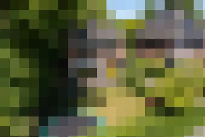 Prins Clausplantsoen 41 Assen thumbnail 41